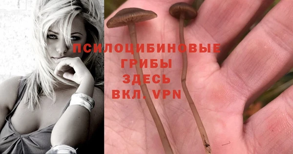 амфетамин Беломорск