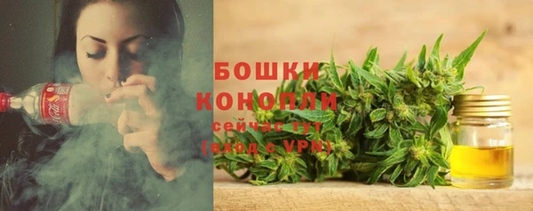 крисы Богданович