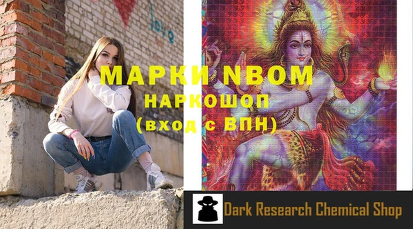 PSILOCYBIN Белокуриха