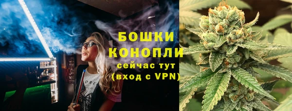 PSILOCYBIN Белокуриха