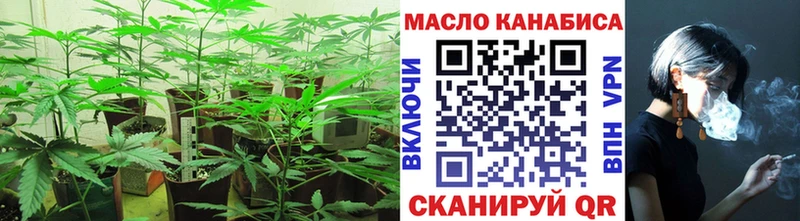 MEGA как зайти Гай Дистиллят ТГК Wax купить наркотики цена