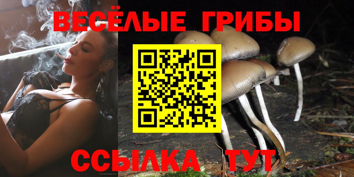 Псилоцибиновые грибы MAGIC MUSHROOMS Гай