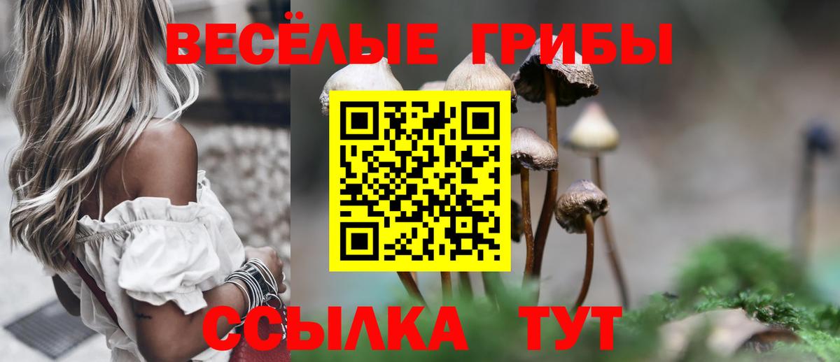 Гай  Галлюциногенные грибы Psilocybine cubensis  Вход с VPN 